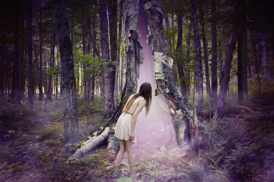 Wonderland
