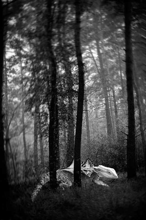 imaginary