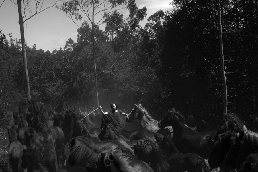 Wild Iberia