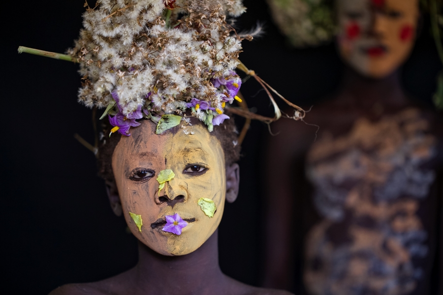 Flowers of Ethiopia 