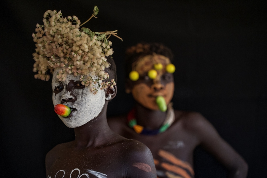 Flowers of Ethiopia 