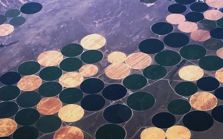 Circular fields