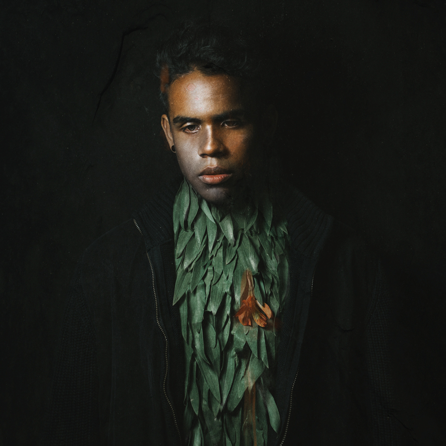Botanica