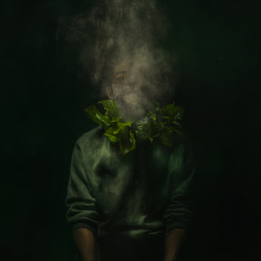 Botanica