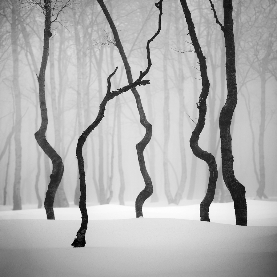 Dancing trees