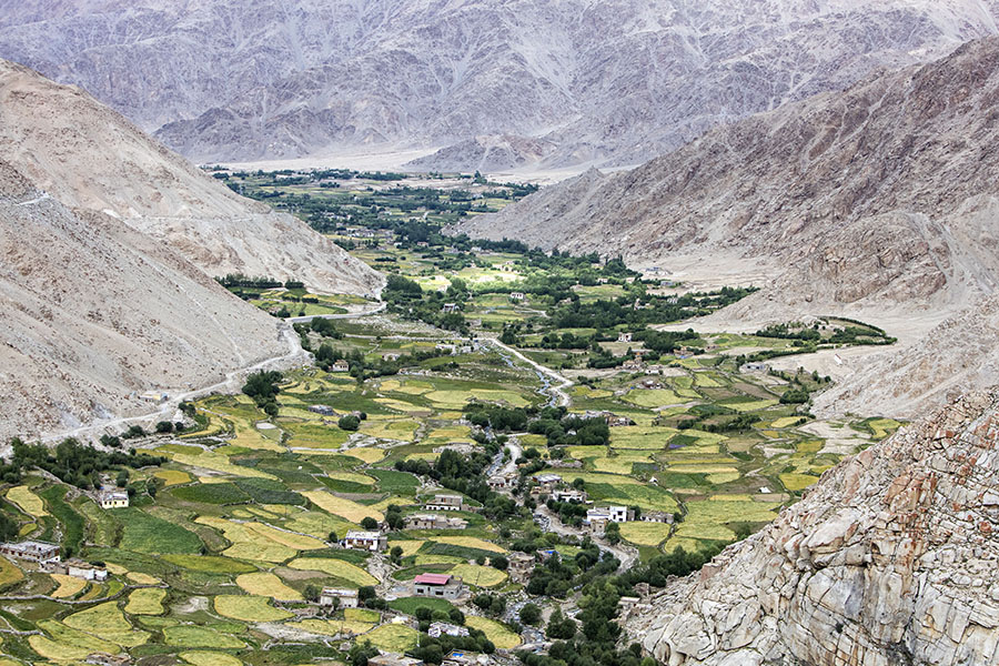 The green valley