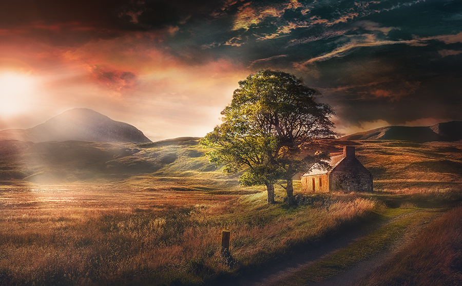 Wilderness