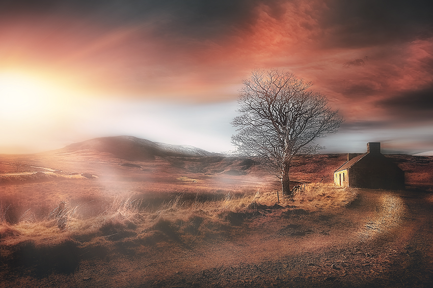 Wilderness