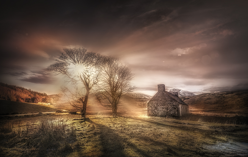 Wilderness