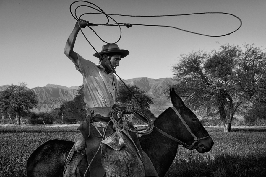 Gaucho Calchaquí