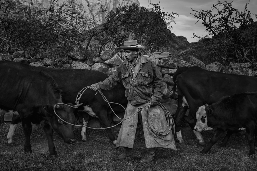 Gaucho Calchaquí