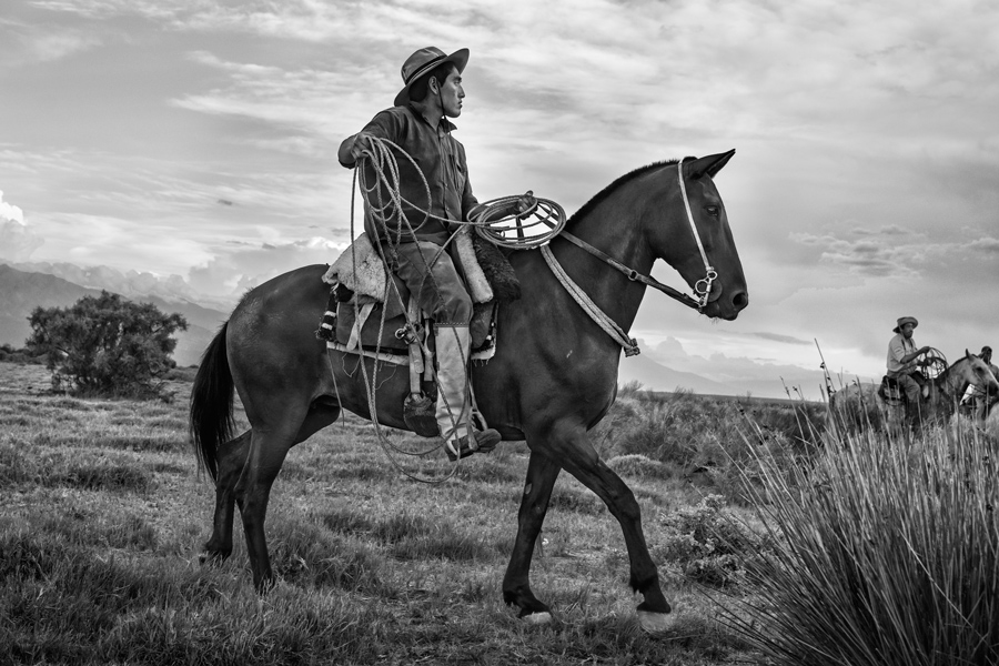 Gaucho Calchaquí