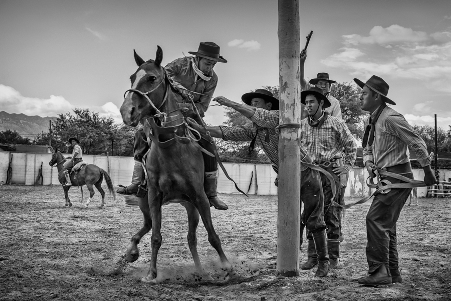 Jinetes Salteños