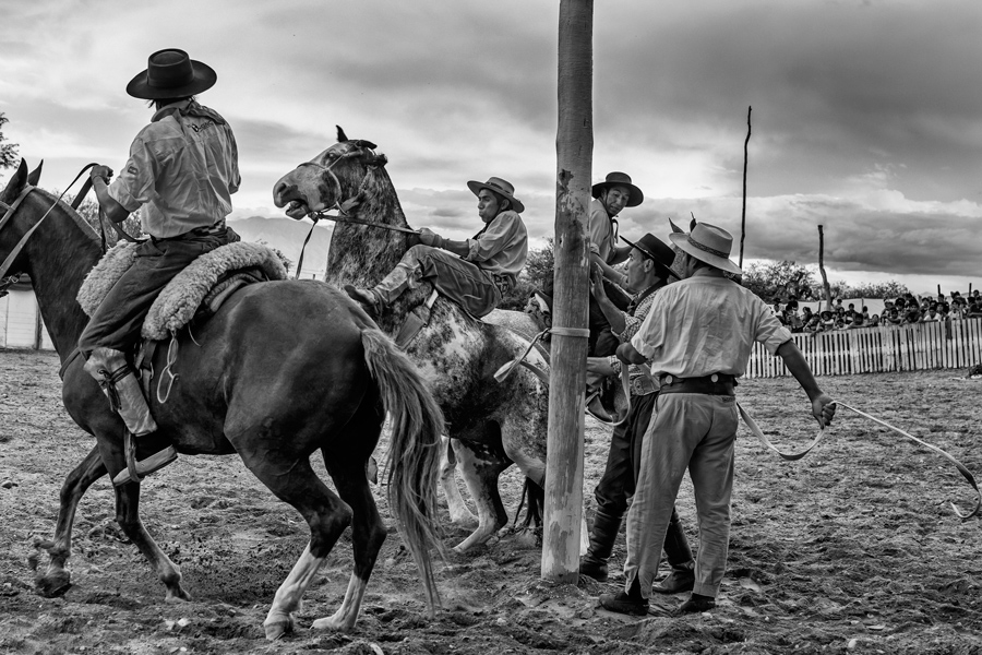Jinetes Salteños