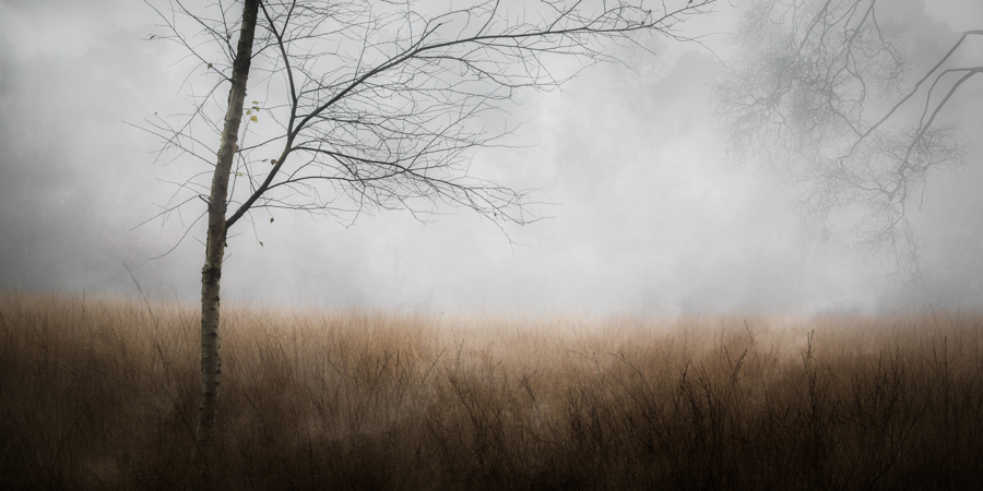 Autumn's End