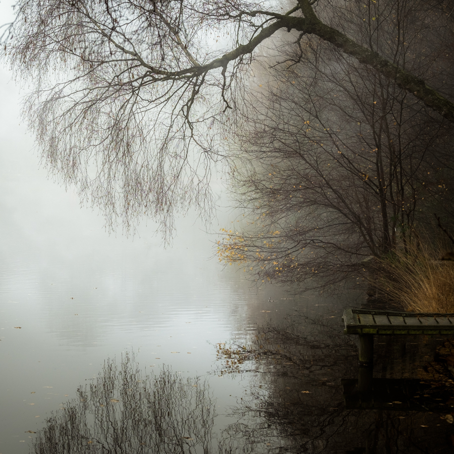 Autumn's End