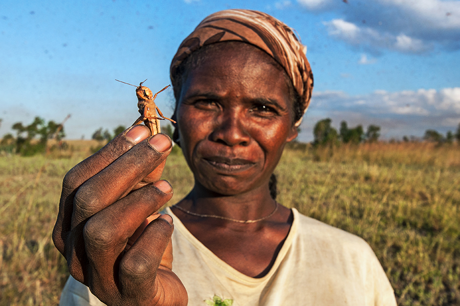 Locusts & Men