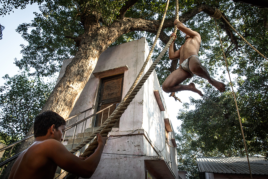 Kushti, the noble art