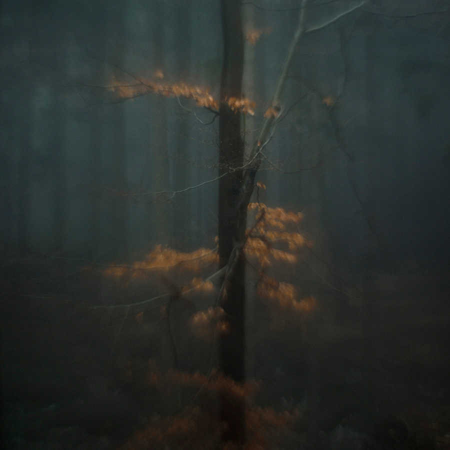Deep into
