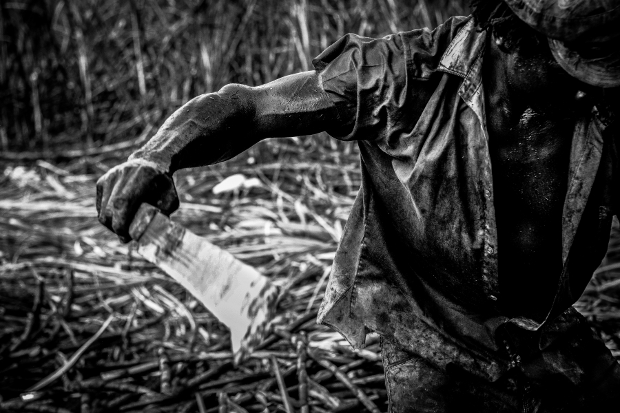 Cutting the Cane