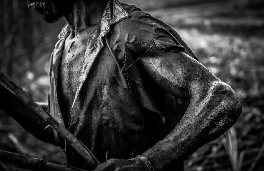 Cutting the Cane