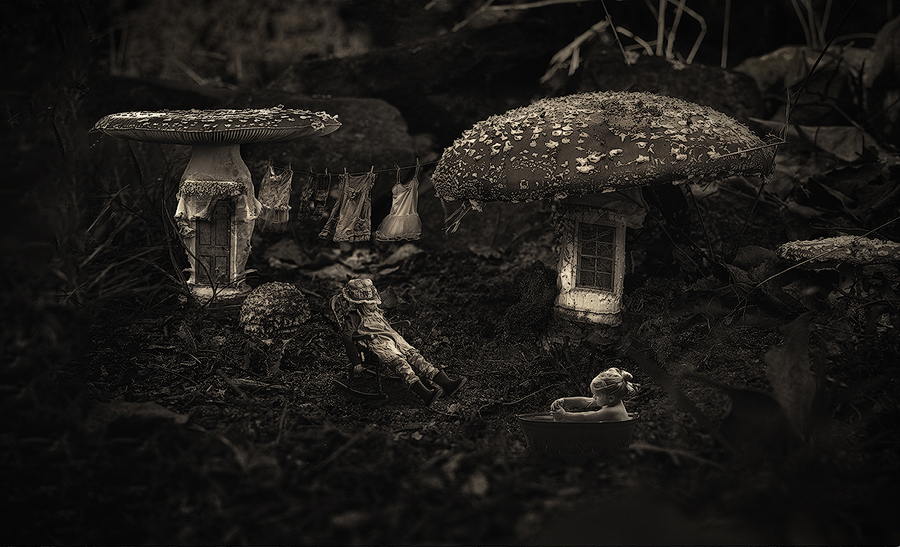 Toadstool Story 2016