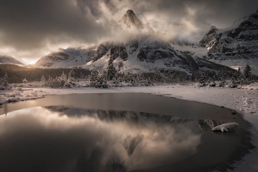 Frosted Kingdom
