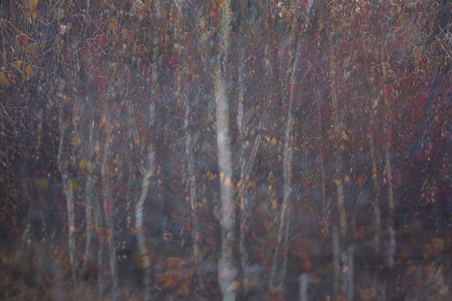 Untitled 185