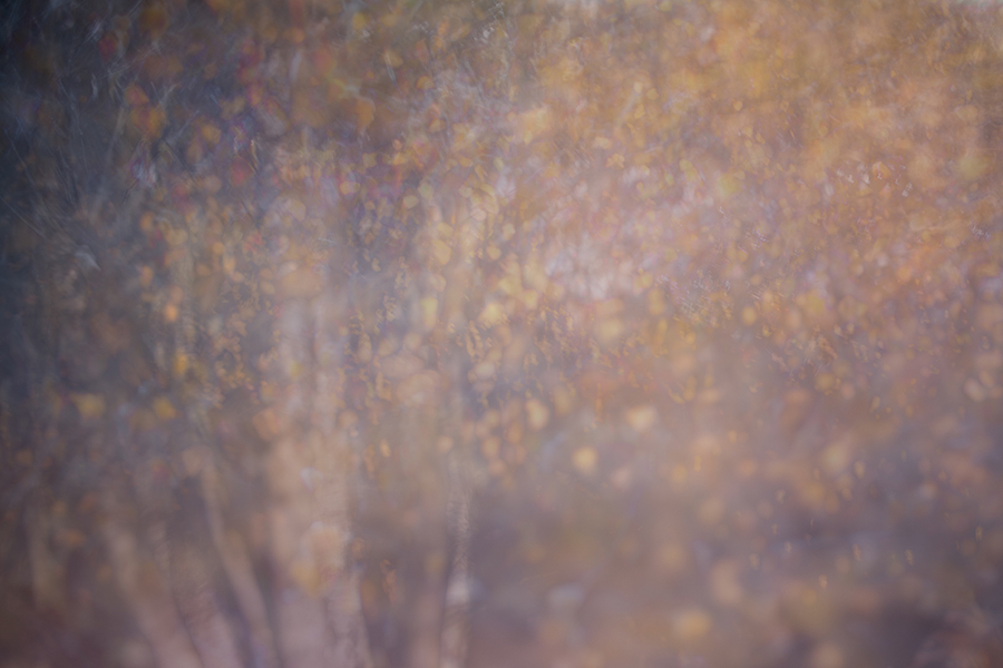Untitled 187