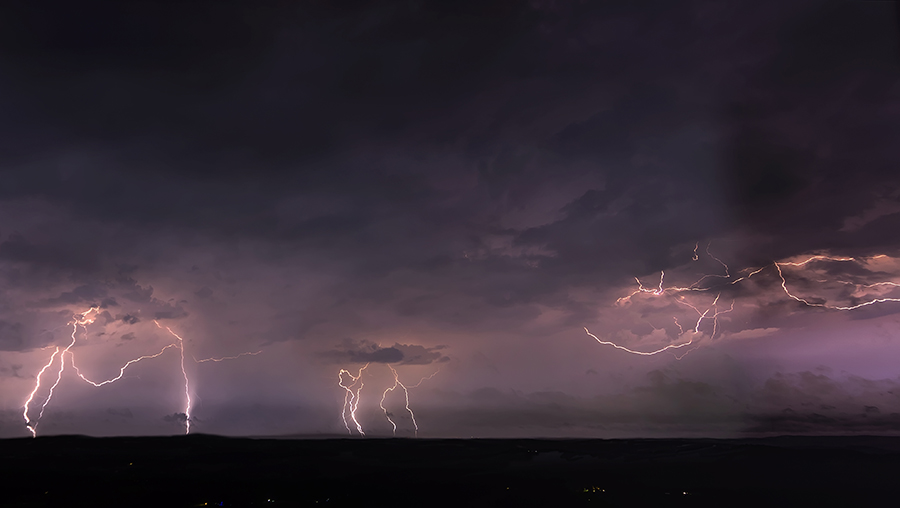 Wild Weather