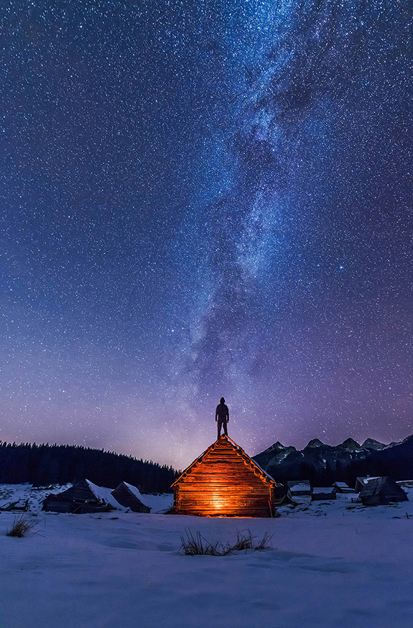 Under the starry night