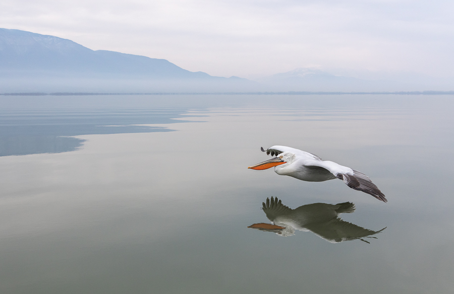 Crossing water