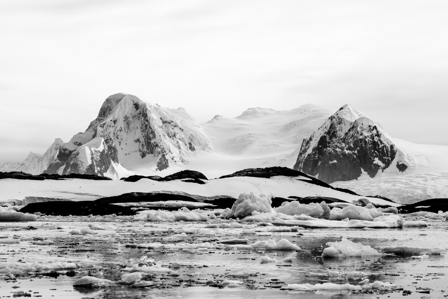 Antarctica 
