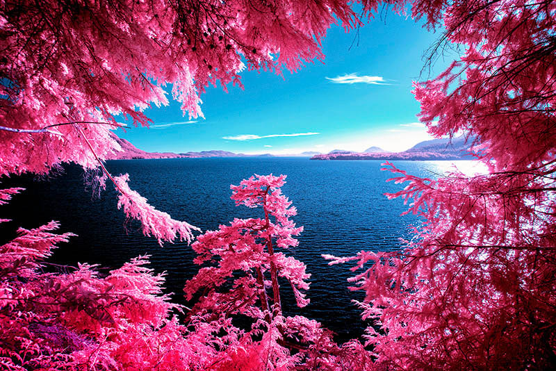 Infrared
