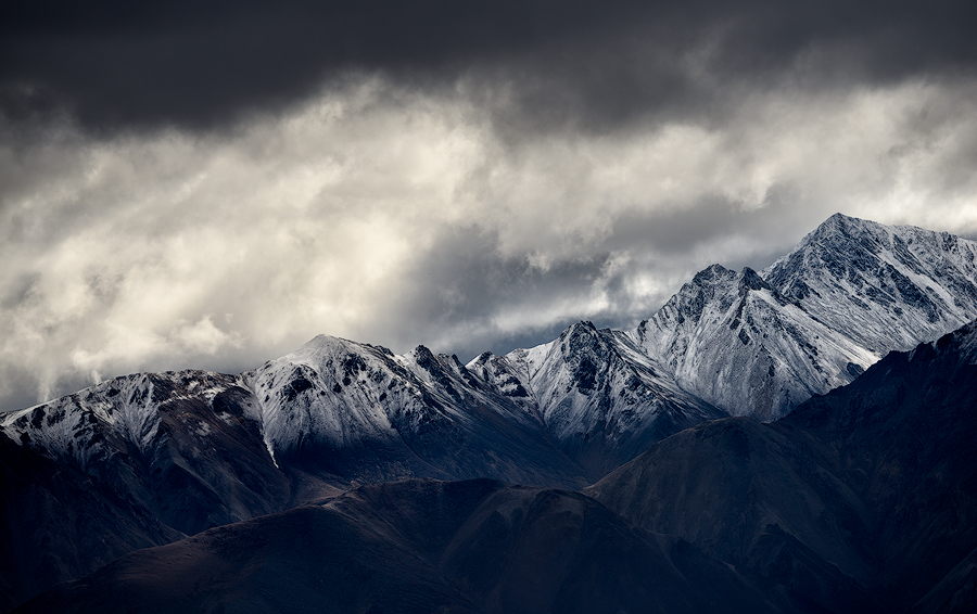 Denali National Park