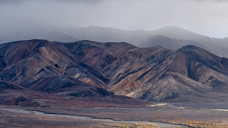 Denali National Park