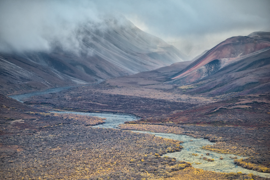 Denali National Park