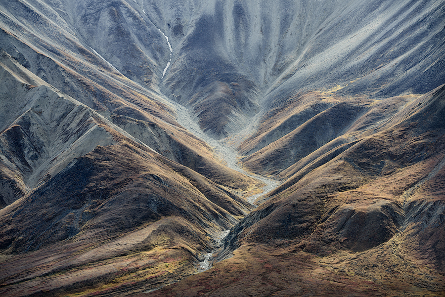 Denali National Park