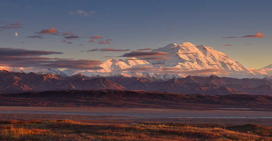 Denali National Park
