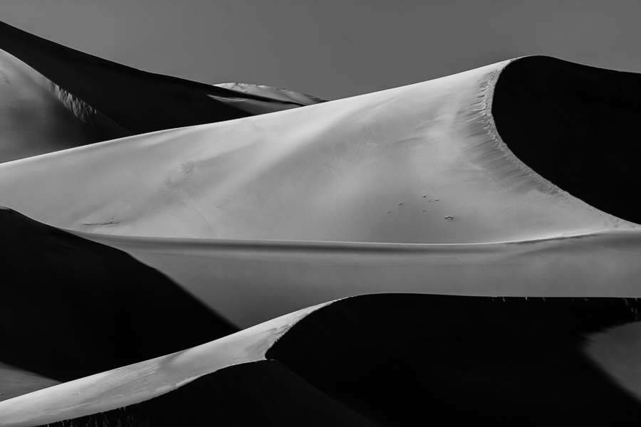 Sails in the Dunes