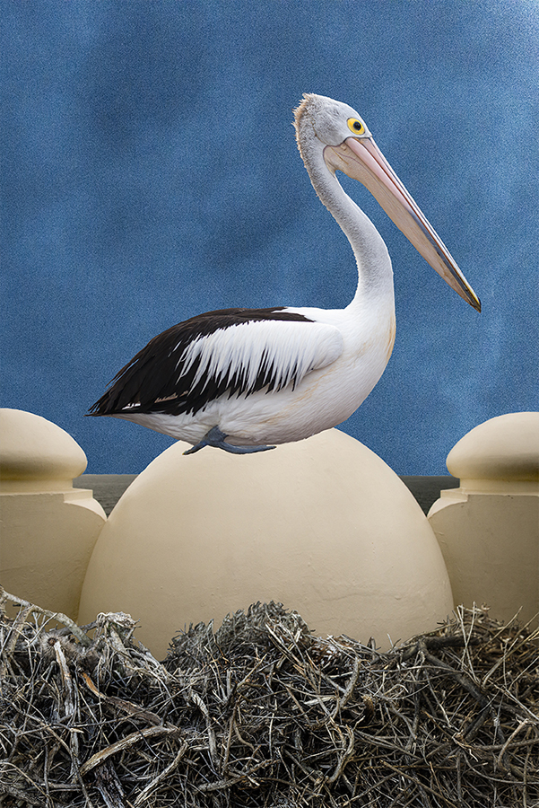 Hatching