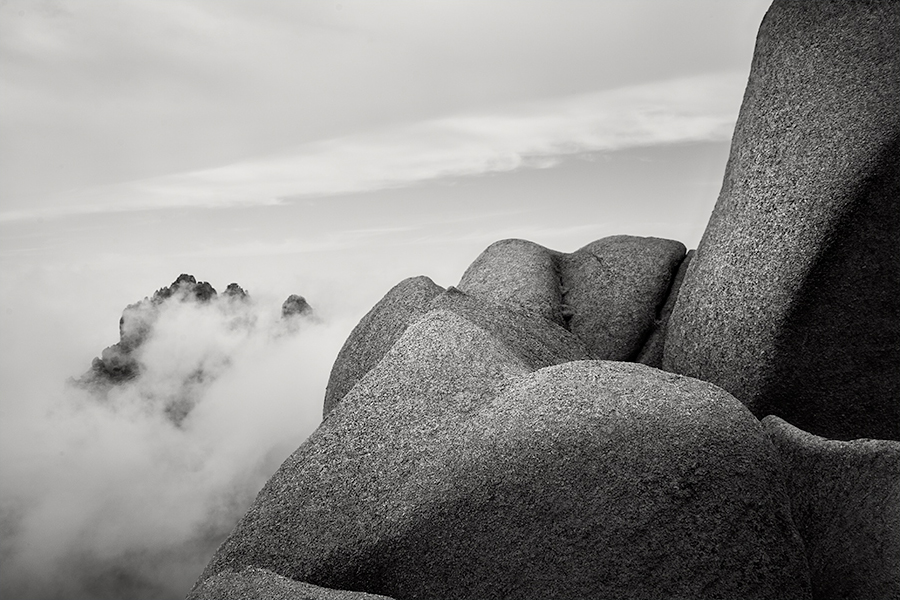 Rock Garden