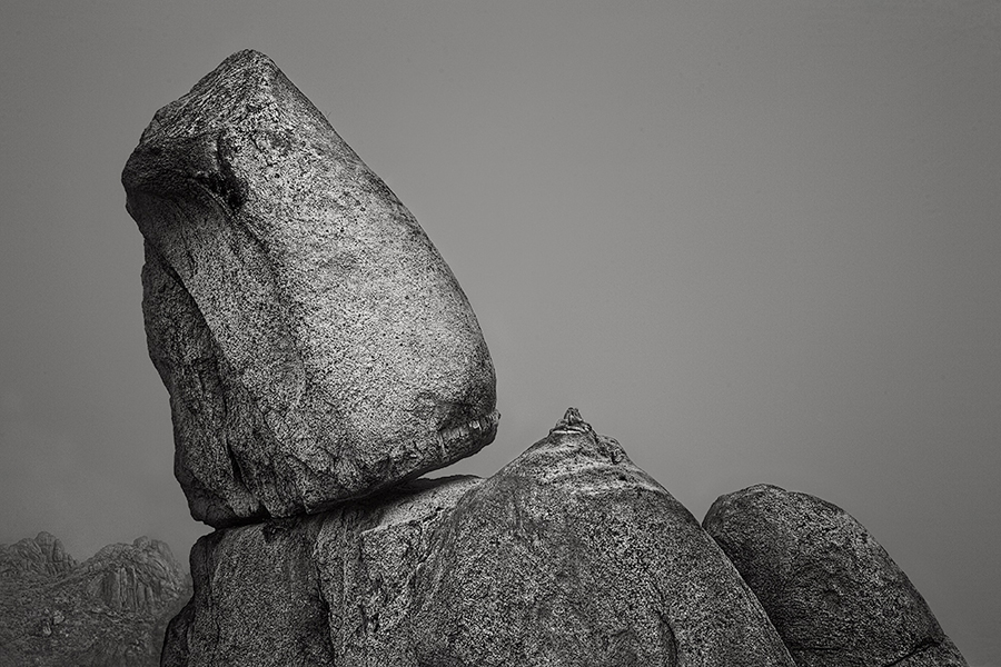 Rock Garden