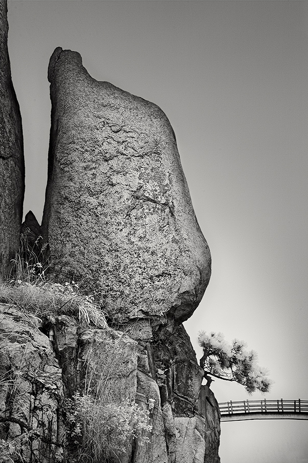 Rock Garden