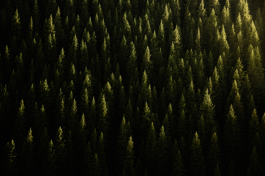 Fleeting Touch