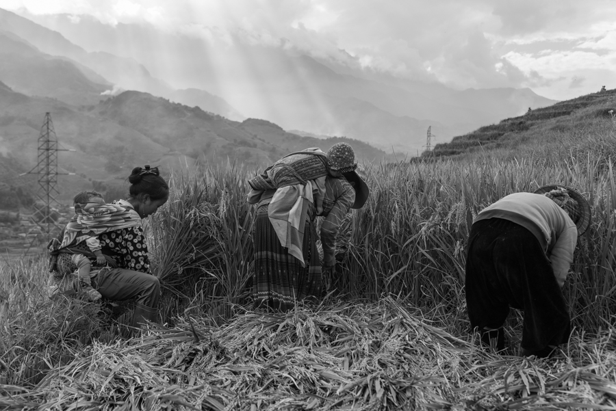 Mountainland: Vietnam North Nortwest