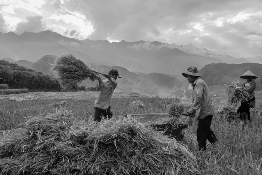 Mountainland: Vietnam North Nortwest