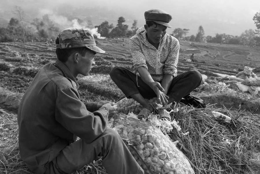 Mountainland: Vietnam North Nortwest