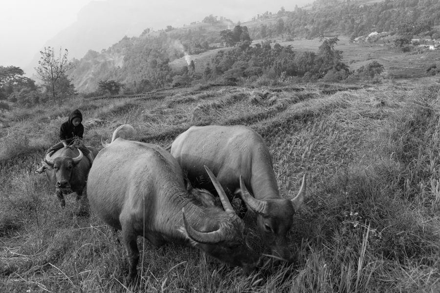 Mountainland: Vietnam North Nortwest