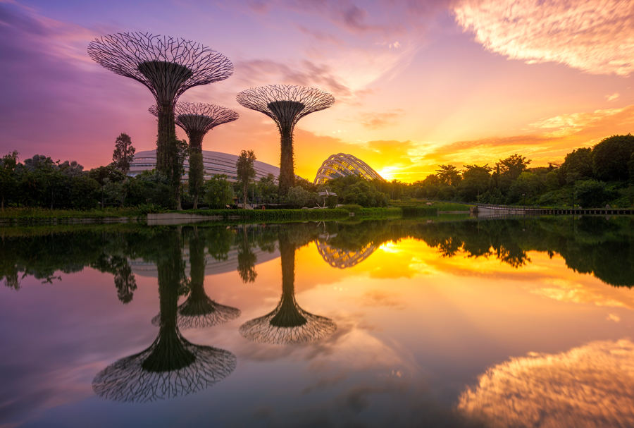 Landscapes of Dawn